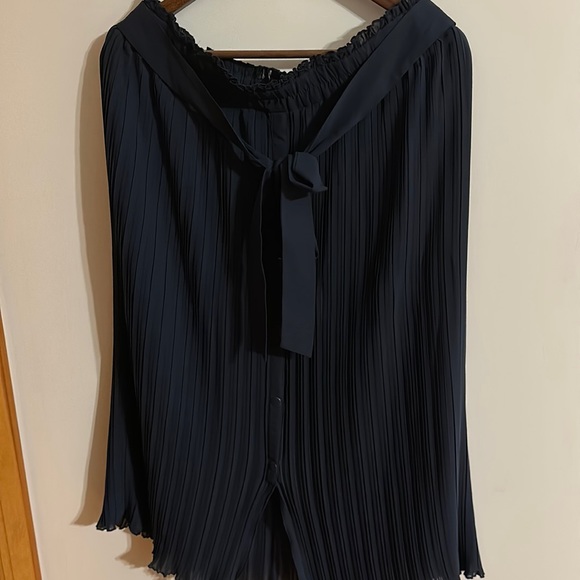 Blue Sheer Skirt - Picture 1 of 2